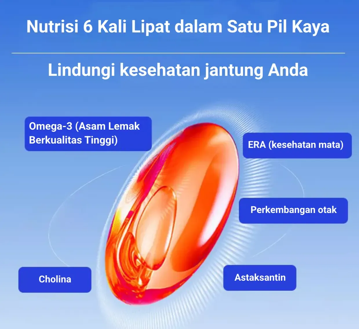 Kaya nutrisi