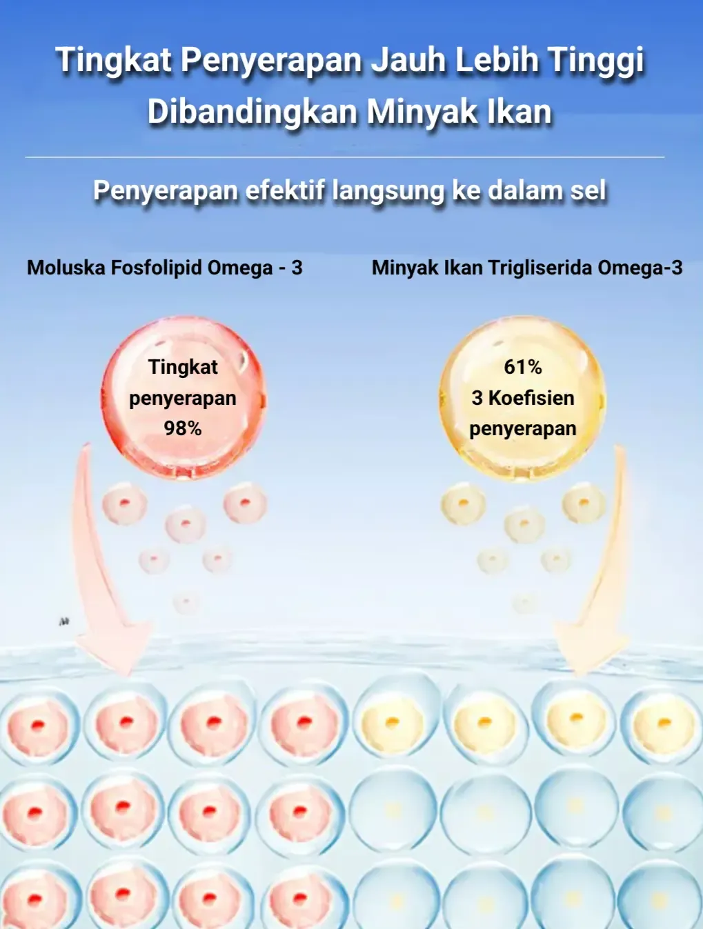 Penyerapan baik